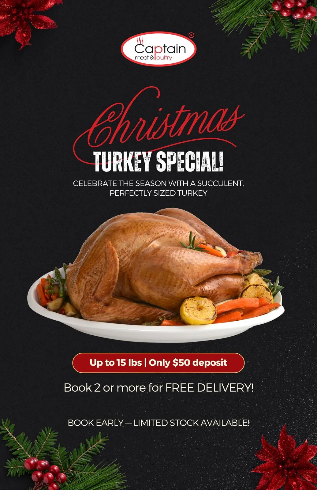 Christmas Turkey Special